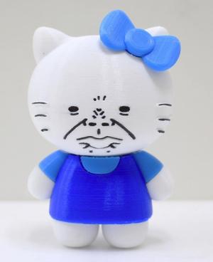Hello Sorry / 這不是 This is NOT Hello Kitty