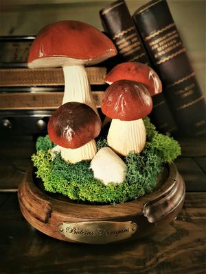 mushroom cèpes
