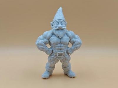 Muscular Gnome