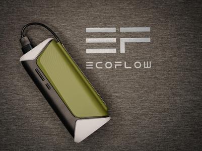 Led Case for EcoFlow RAPID Pro X