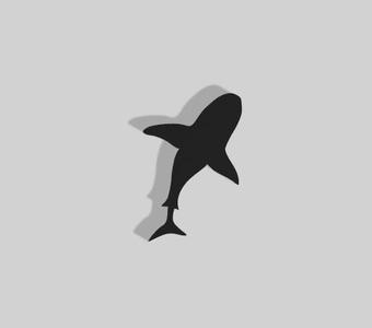Shark Decoration - 2D Art