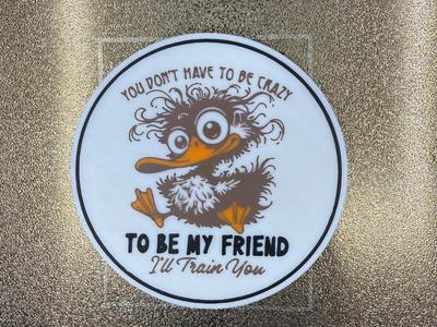 YOU DON'T HAVE TO BE CRAZY TO BE MY FRIEND
