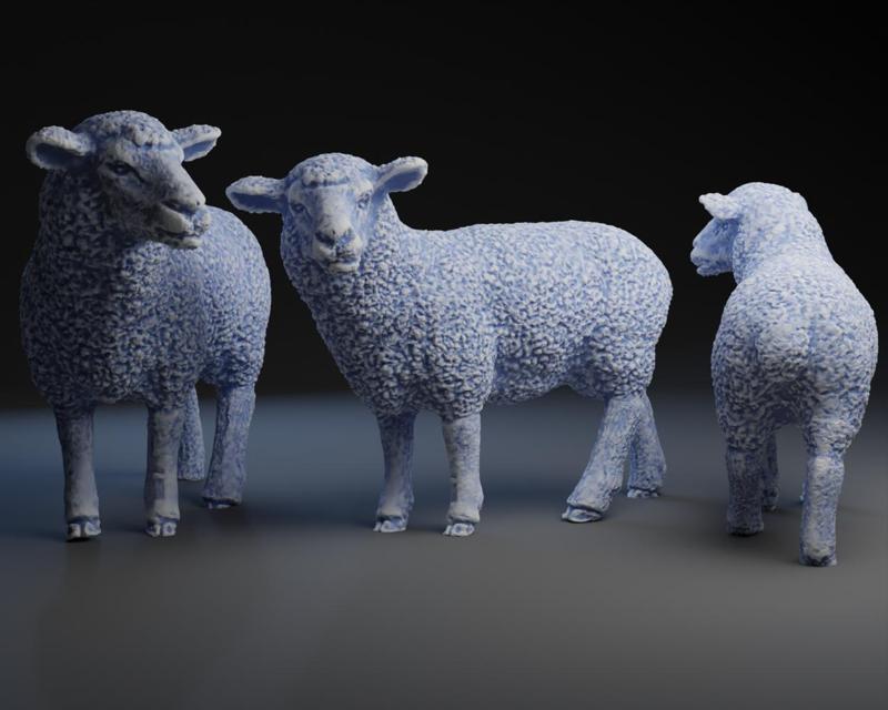 Sheep