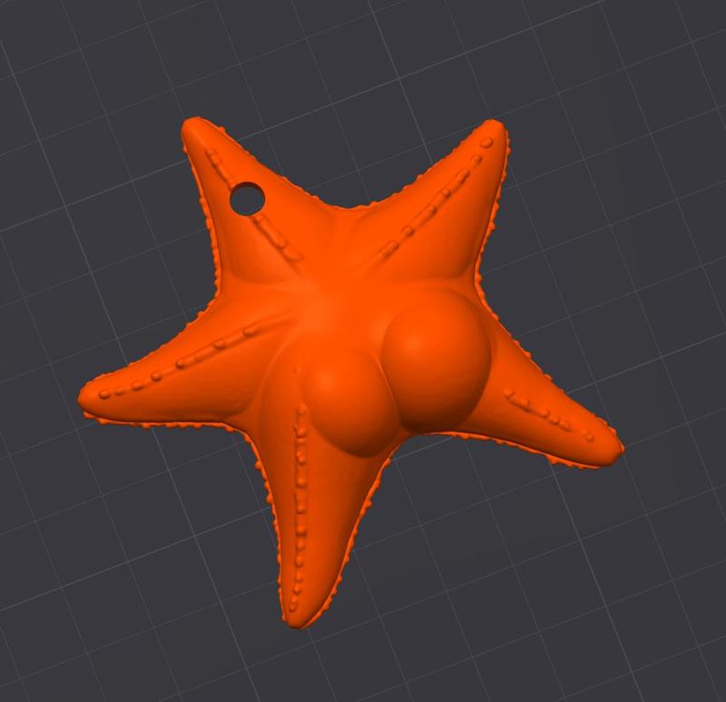 Culona Star Key Ring