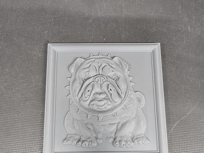 Bulldogge with Frame