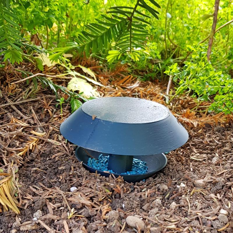 Snail Trap - Slug Trap - Trappola per Lumache