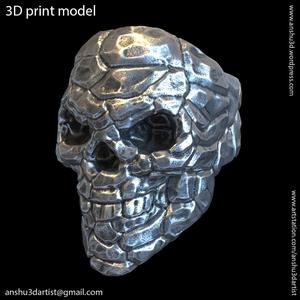 Skull Rock Ring vol 1