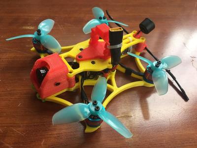 Pteromys 2.5" drone