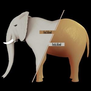 Elephant Mesh