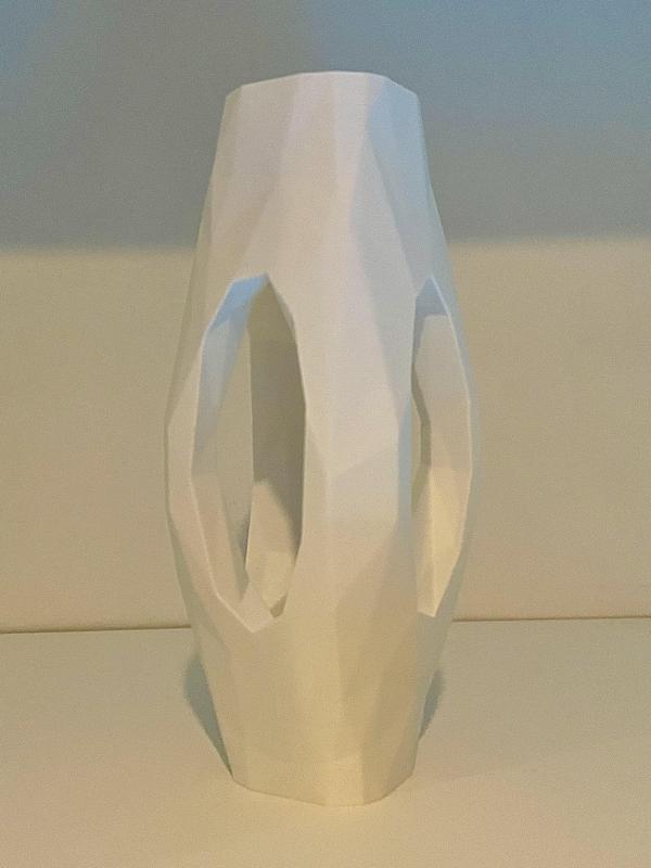 Low-Poly See-Through Plant Pot