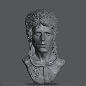 David Bowie Wall Plaque