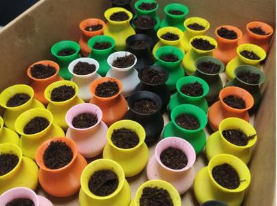 Small pot