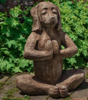 meditating dog