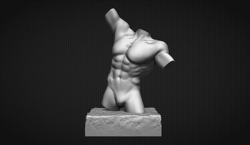 Male Torso 3D Model
