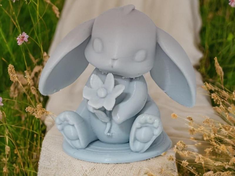 The Little Bunny with a Heart of Flowers