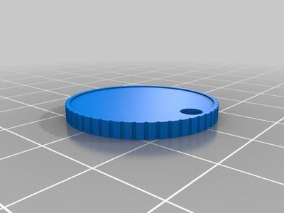 coin keychain