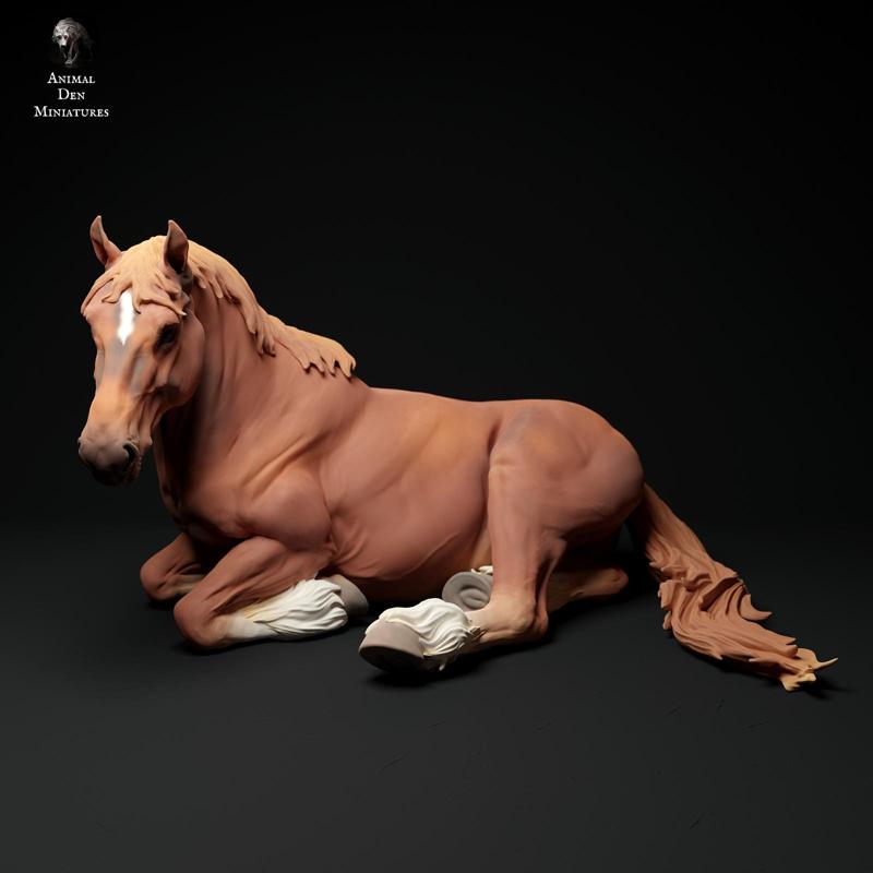 Suffolk Punch Mare Lying