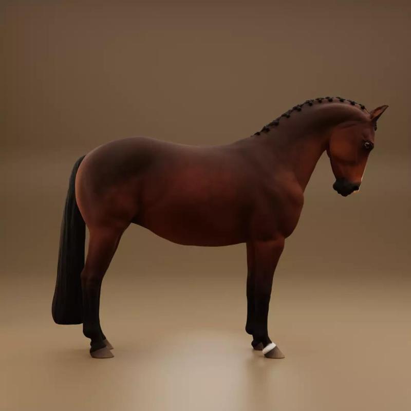 Dressage Warmblood Mare