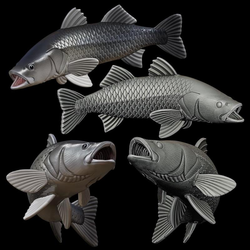 BLACK SNOOK / ROBALO / CENTROPOMUS NIGRESCENS open mouth in motion fish model for 3D printing