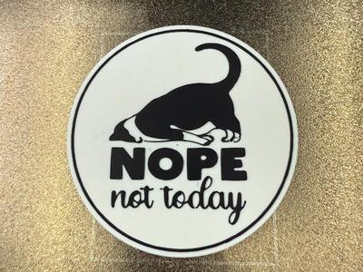 Nope not today cat - coaster 