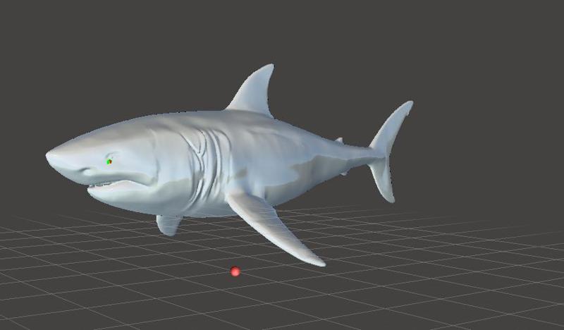 tiburon blanco - white shark