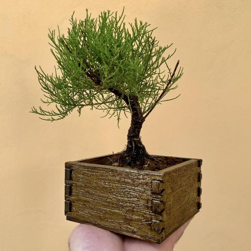 universal box / flower pot open dovetail joint for 3d printing wood texture
