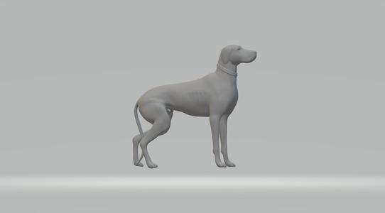 English Pointer 3D print model