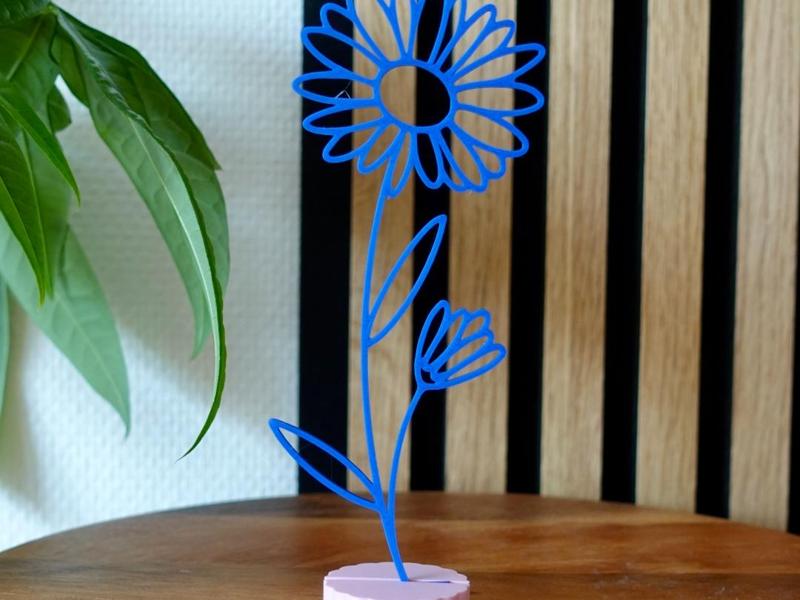 Birth Flower for September - Aster