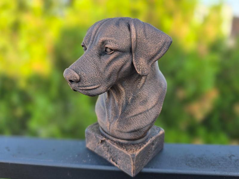 GERMAN SHORTHAIRED POINTER BUST