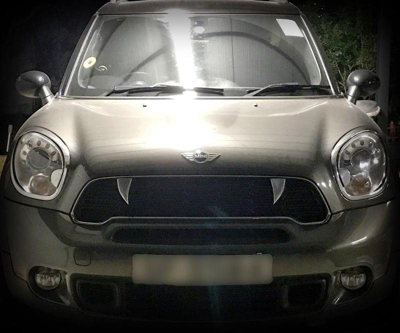 Teeth on Mini Countryman R60 Grille