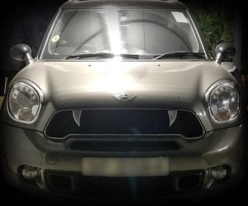 Teeth on Mini Countryman R60 Grille