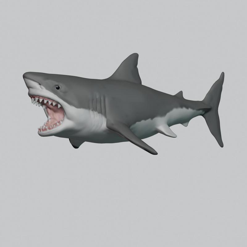 Great White Shark