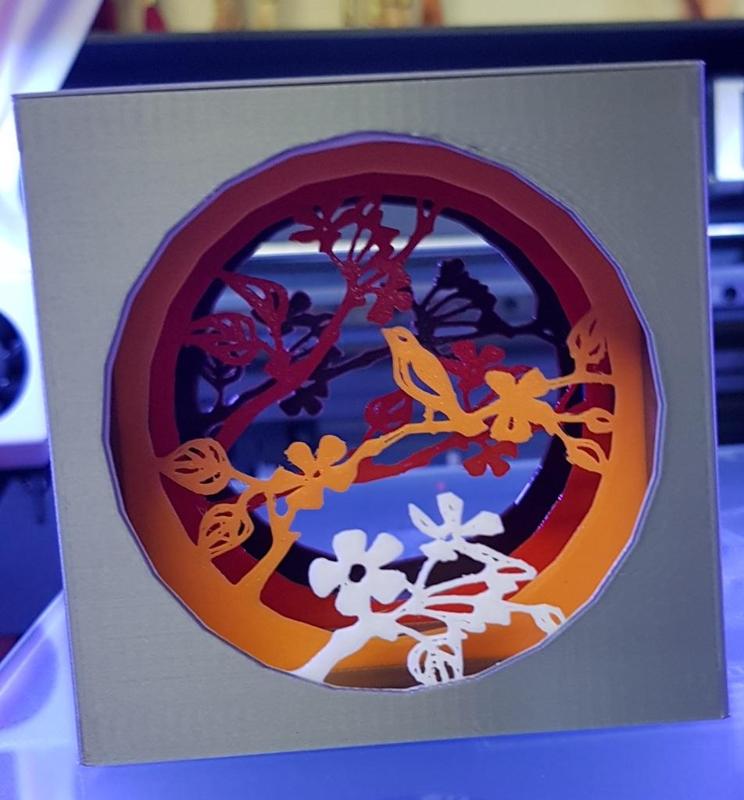 Shadow box with bird