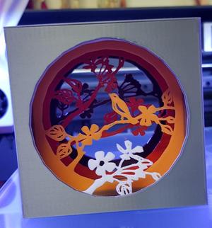 Shadow box with bird