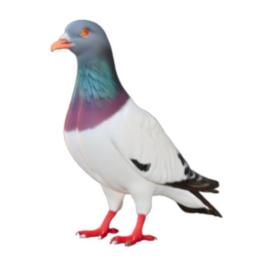 Stylized Pigeon