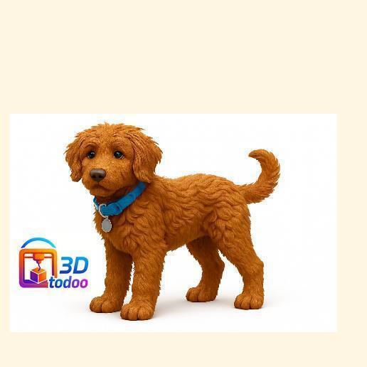 GoldenDoodle Golden Doodle Dog