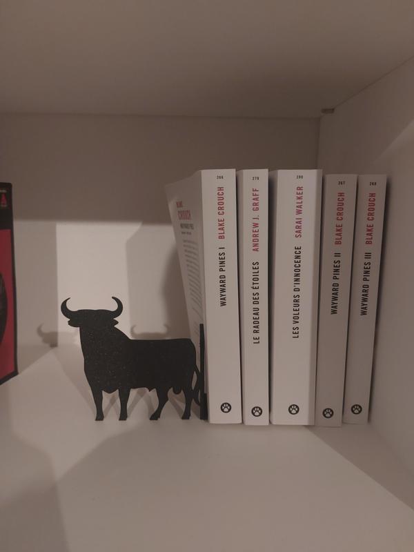 Bull bookends