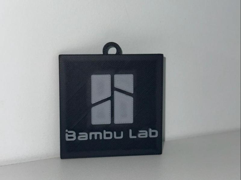 Bambu lab small sign