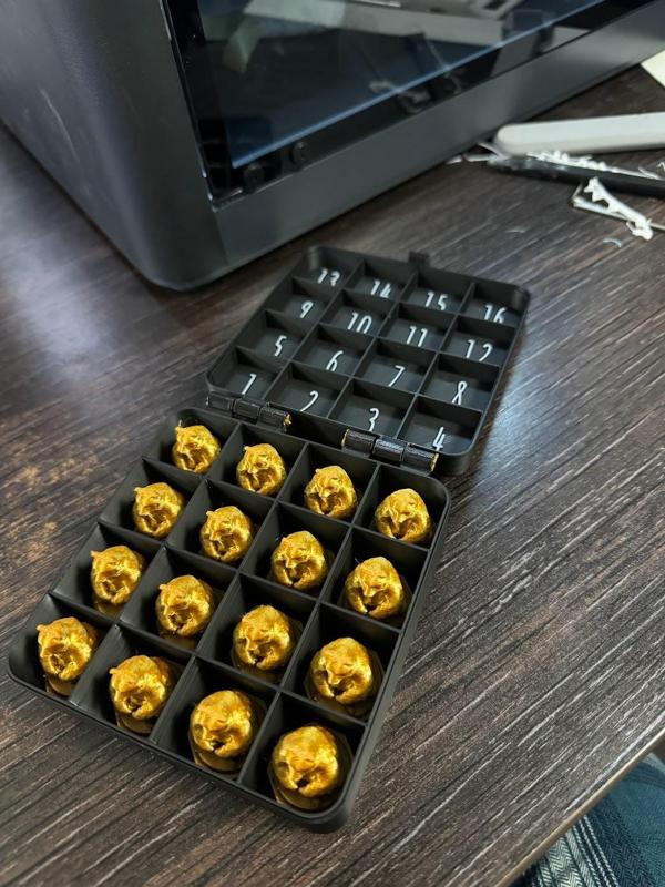 Barenpark bear statues + case