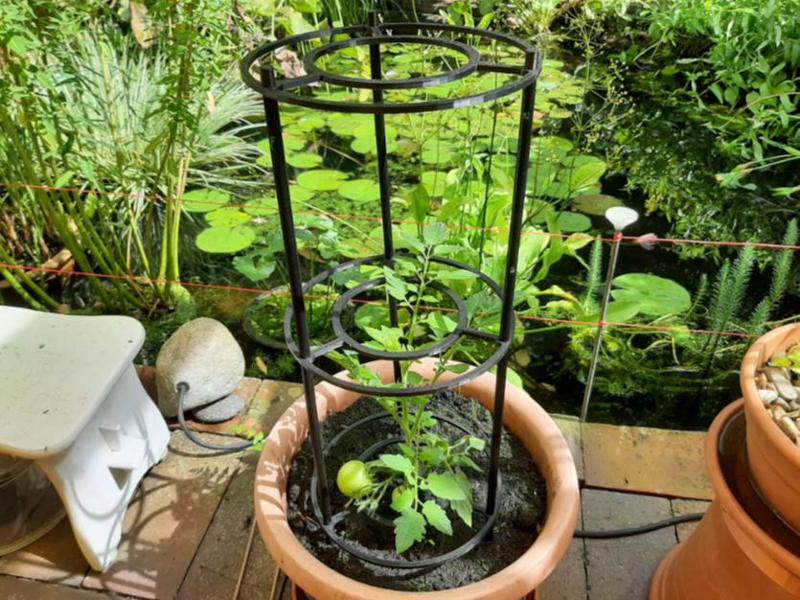 Plant Support (screwed)