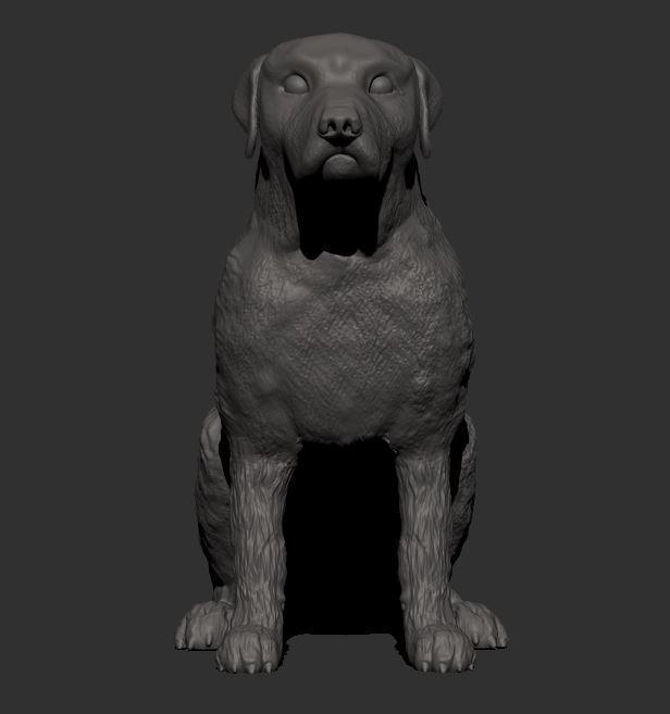 Rottweiler breed dog - Strength and Loyalty