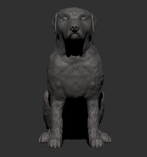 Rottweiler breed dog - Strength and Loyalty