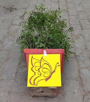 Reusable 3D Print Butterfly Stencil for Wall Painting