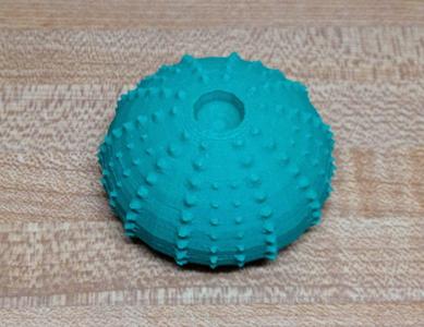 Sea Urchin