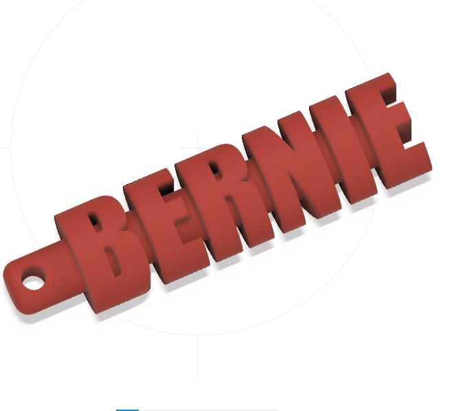 BERNIE KEYCHAIN