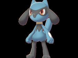 Pokemon - Riolu