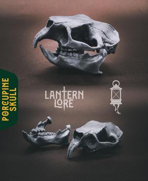 Porcupine Skull (Pre Supported)