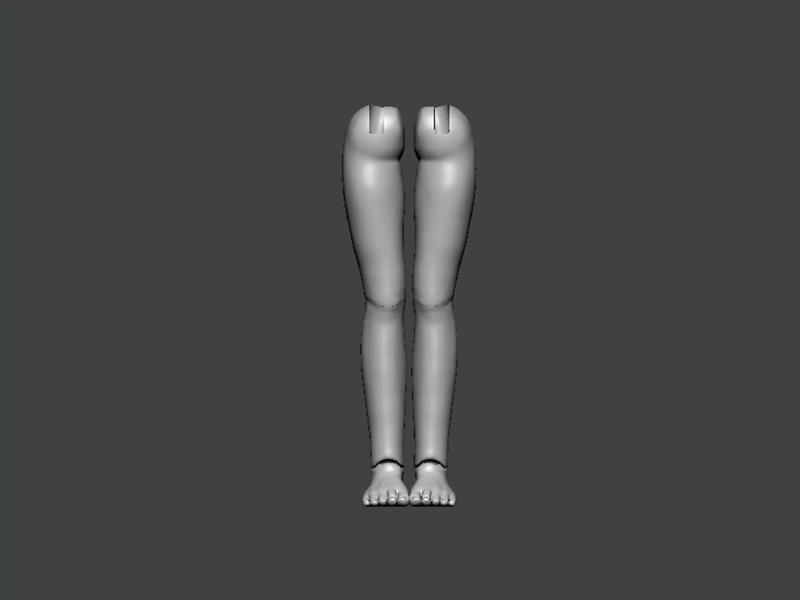 3D Model-ANATOMY0019