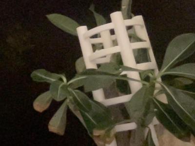 Small Plant Support Spiral