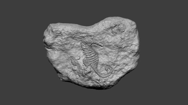 Seahorse Mineral Fossile - Realistic Printable Resin